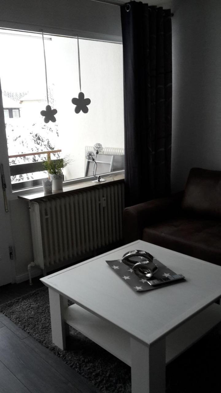 Ferienwohnung Steffens Hahnenklee Wohnung 25 고슬라르 외부 사진